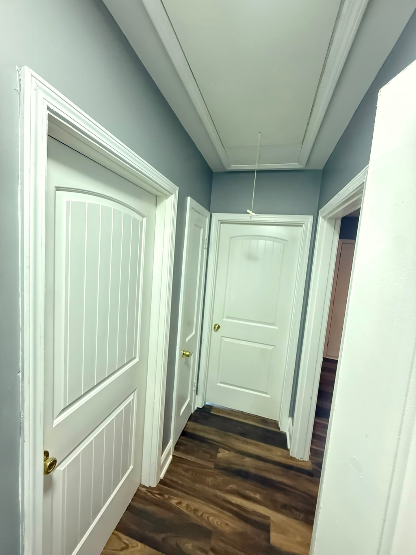 Hallway with new doors and wood flooring at 962 Inman Rd